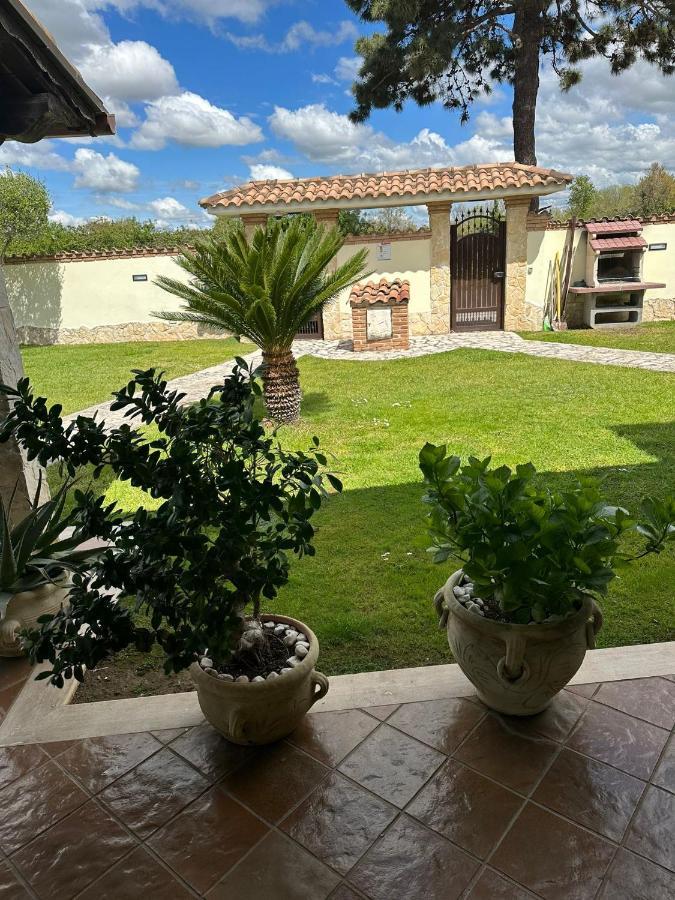 Villa Luxury House à Anzio Extérieur photo