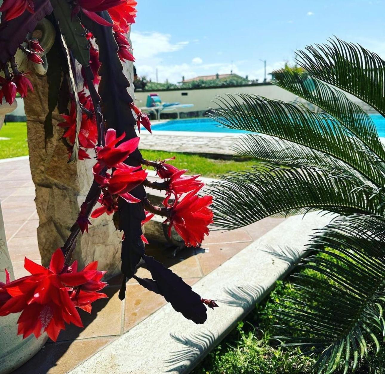 Villa Luxury House à Anzio Extérieur photo